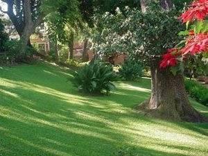 Hotel Posada Maria Cristina เควนาวากา ภายนอก รูปภาพ